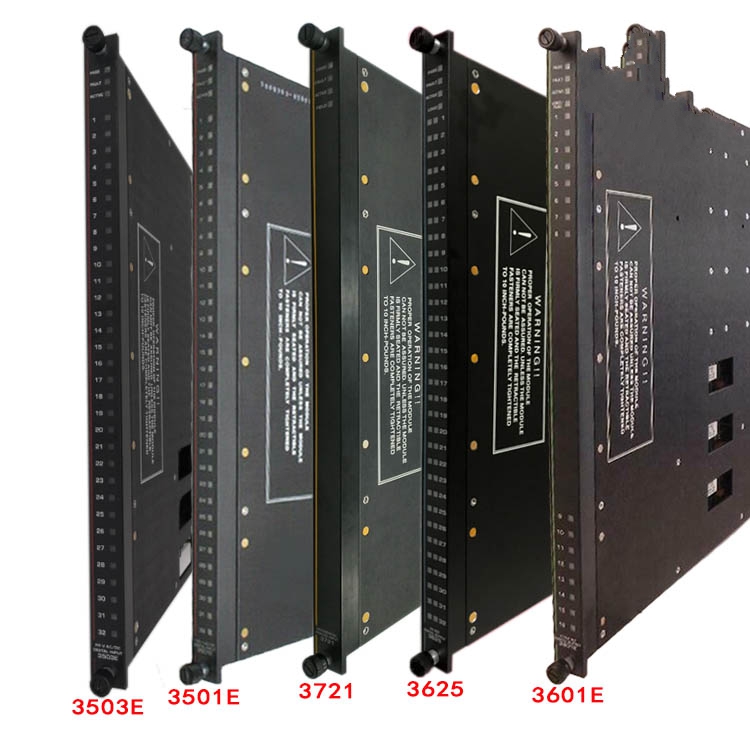 TRICONEX MODULE